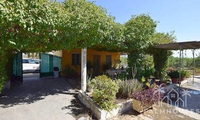 Villa - Venta - Albatera - Albatera Centro