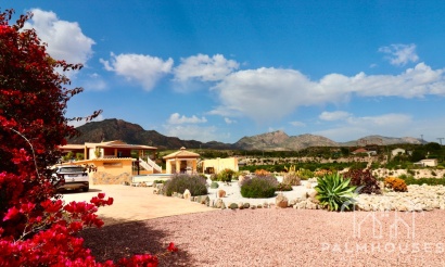Villa - Venta - Albatera - Albatera Centro