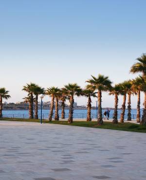 Playa Flamenca