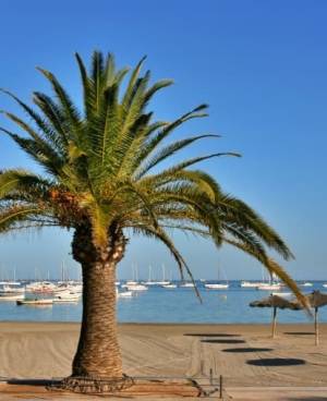 San Javier
