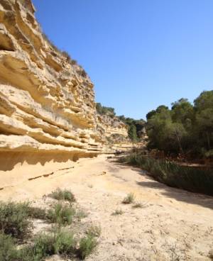 Pinar de Campoverde