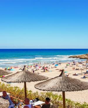 La Zenia