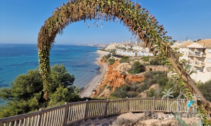 Venta - Apartment - Orihuela Costa - Cabo Roig