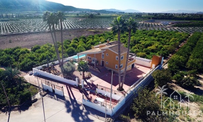 Herverkoop - Finca - Orihuela
