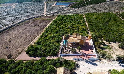 Herverkoop - Finca - Orihuela