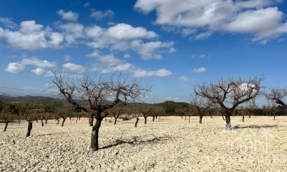 Revente - Plot - Bullas - Costa Calida