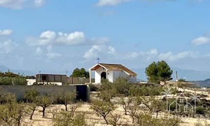 Revente - Plot - Bullas - Costa Calida