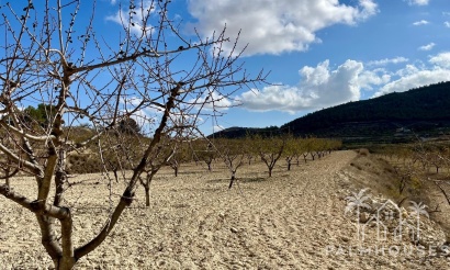 Revente - Plot - Bullas - Costa Calida