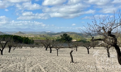 Revente - Plot - Bullas - Costa Calida