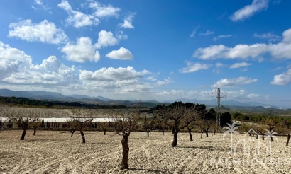 Revente - Plot - Bullas - Costa Calida