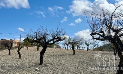Revente - Plot - Bullas - Costa Calida