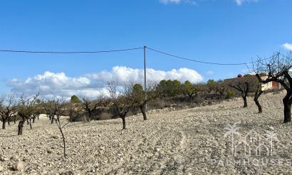 Revente - Plot - Bullas - Costa Calida