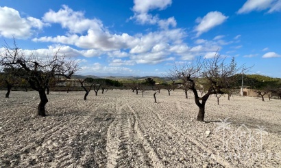 Revente - Plot - Bullas - Costa Calida