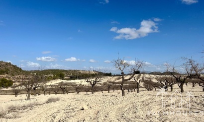 Revente - Plot - Bullas - Costa Calida