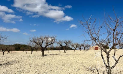 Revente - Plot - Bullas - Costa Calida