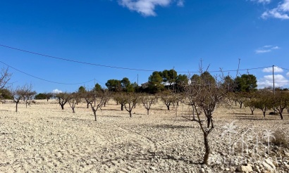 Revente - Plot - Bullas - Costa Calida
