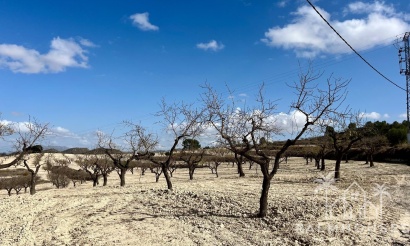 Revente - Plot - Bullas - Costa Calida
