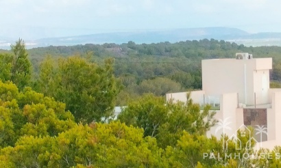 Nouvelle construction - Maison - Orihuela Costa - PAU 26