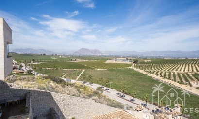 Nouvelle construction - Villa - Algorfa - La Finca Golf
