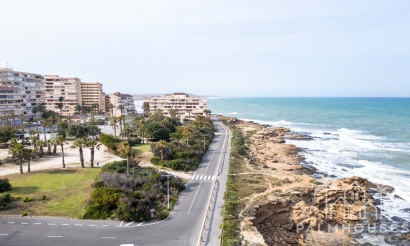 Venta - Apartment - La Mata - Playa la Mata