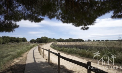 Nouvelle construction - Apartment - Torrevieja - Altos del Sol