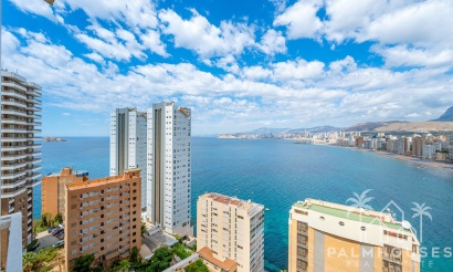 Herverkoop - Appartement - Benidorm - Levante