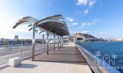 Nouvelle construction - Apartment - Alicante - Center