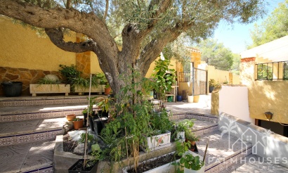 Herverkoop - Villa - Orihuela Costa