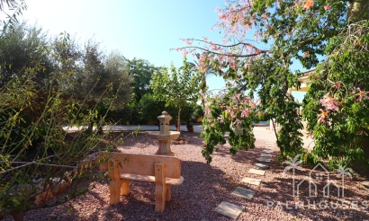 Revente - Finca - Orihuela - La Campaneta