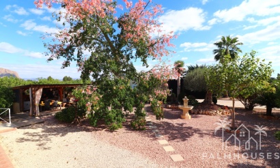 Revente - Finca - Orihuela - La Campaneta