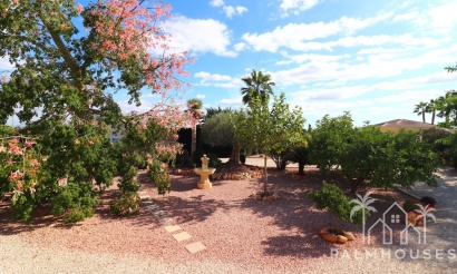 Revente - Finca - Orihuela - La Campaneta