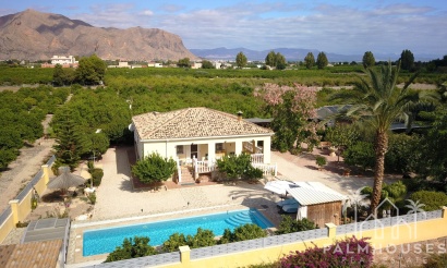 Revente - Finca - Orihuela - La Campaneta