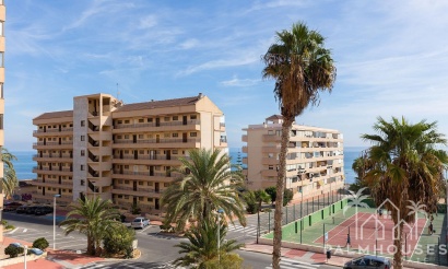 Venta - Apartment - Torrevieja - La Mata