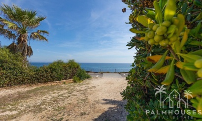 Venta - Apartment - Torrevieja - La Mata