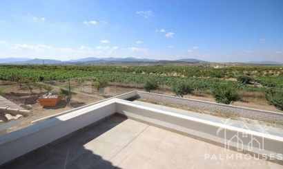Nouvelle construction - Villa - Pinoso - Camino Del Prado