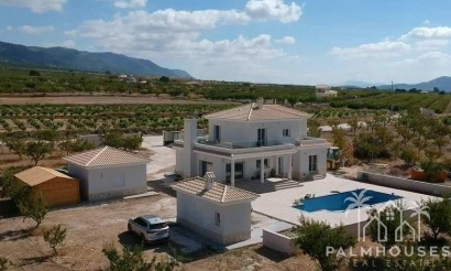 Nouvelle construction - Villa - Pinoso - Camino Del Prado