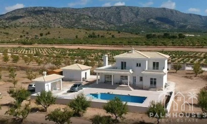 Nouvelle construction - Villa - Pinoso - Camino Del Prado