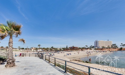Nouvelle construction - Villa - Orihuela Costa - La Zenia