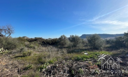 Herverkoop - Finca - Aspe