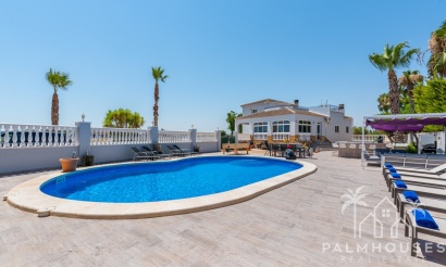 Venta - Finca - Catral