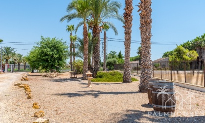 Venta - Finca - Catral