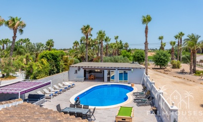 Venta - Finca - Catral