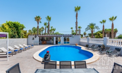 Venta - Finca - Catral