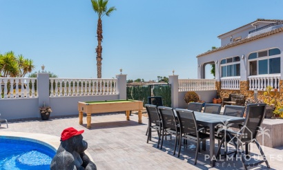 Venta - Finca - Catral