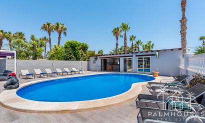 Venta - Finca - Catral