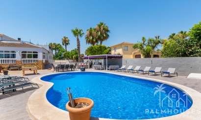 Venta - Finca - Catral