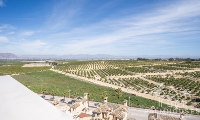 Nouvelle construction - Villa - Algorfa - La Finca Golf