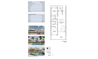 Nouvelle construction - Apartment - Pilar de La Horadada - Pueblo