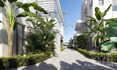 Nouvelle construction - Apartment - Torre Pacheco - Santa Rosalía