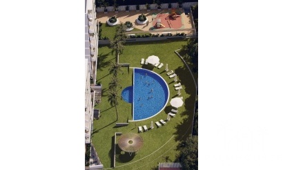 Nouvelle construction - Apartment - Guardamar del Segura - Avda del Puerto